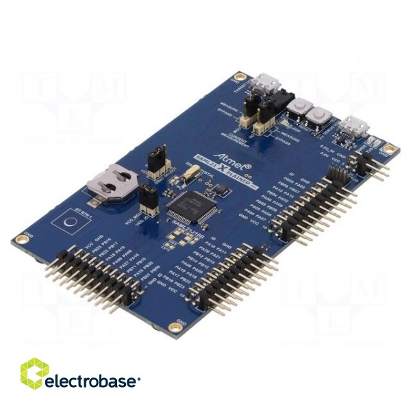 Dev.kit: Microchip ARM | Family: SAML | prototype board paveikslėlis 1