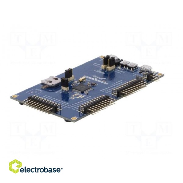 Dev.kit: Microchip ARM | Family: SAML | prototype board image 2