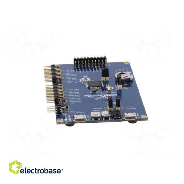 Dev.kit: Microchip ARM | Components: SAML21J18B | SAML image 5