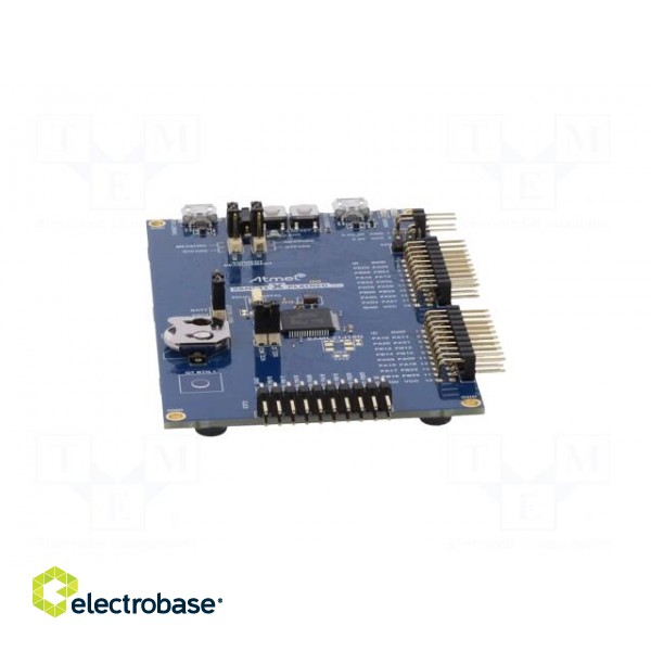 Dev.kit: Microchip ARM | Family: SAML | prototype board image 9