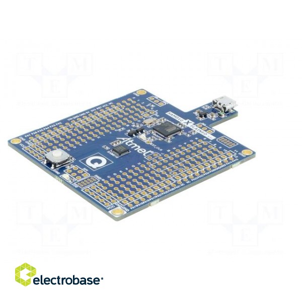 Dev.kit: Microchip ARM | SAMD | Xplained Mini | prototype board image 6
