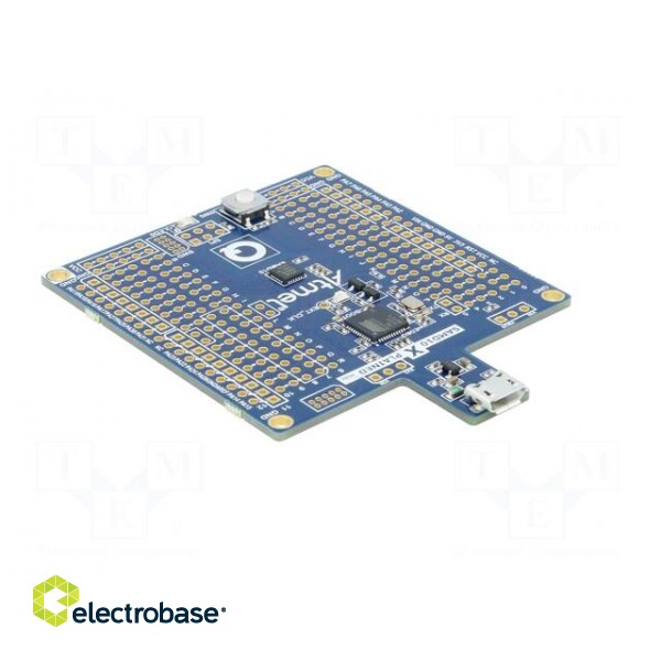 Dev.kit: Microchip ARM | SAMD | Xplained Mini | prototype board image 8