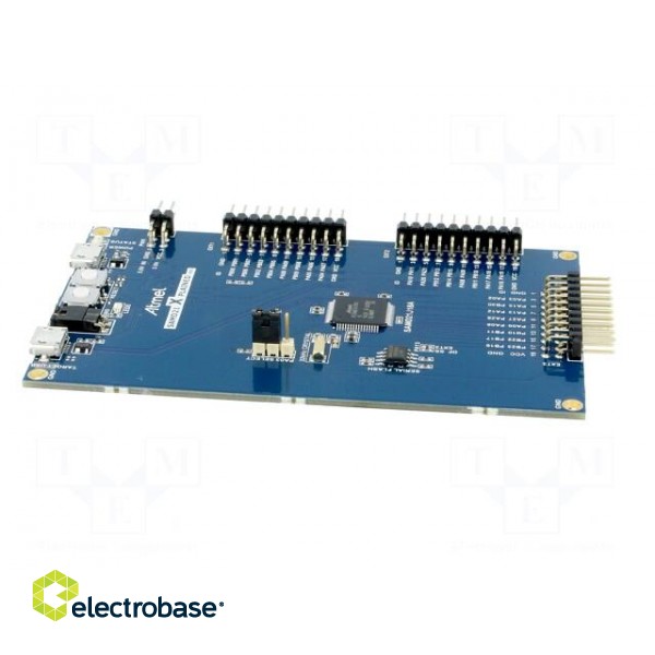 Dev.kit: Microchip ARM | Family: SAMD | prototype board image 3