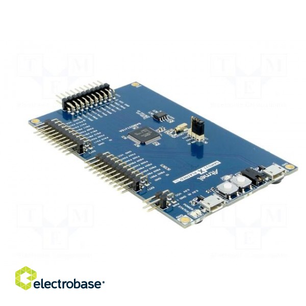 Dev.kit: Microchip ARM | Family: SAMD | prototype board image 8