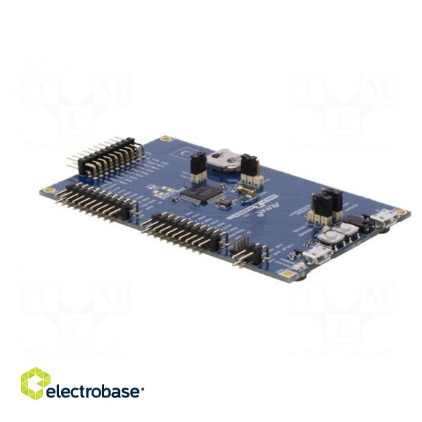 Dev.kit: Microchip ARM | Family: SAML | prototype board image 4