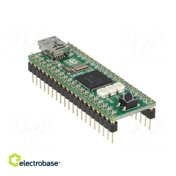 Dev.kit: Microchip PIC | PIC32 | prototype board image 4
