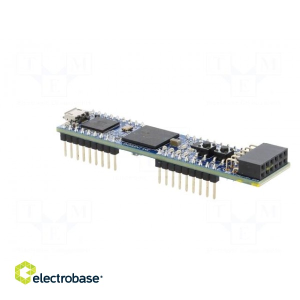 Dev.kit: Xilinx | Pmod socket,USB B micro,pin strips image 4