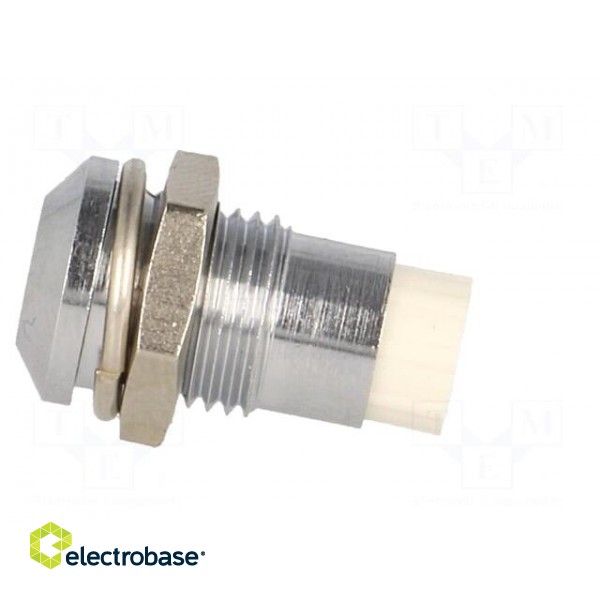LED holder | 5mm | chromium | metal | convex | with plastic plug image 3