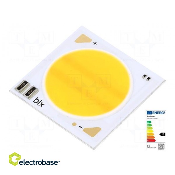 Power LED | COB,bicolour | white warm | 20÷1290mA | P: 500mW/44.5W image 1