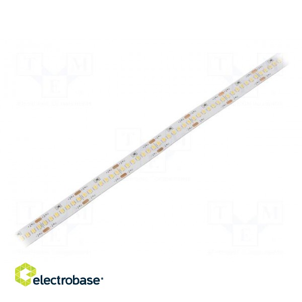 LED tape | white cold | 2216 | 24V | LED/m: 280 | 10mm | IP20 | 16W/m