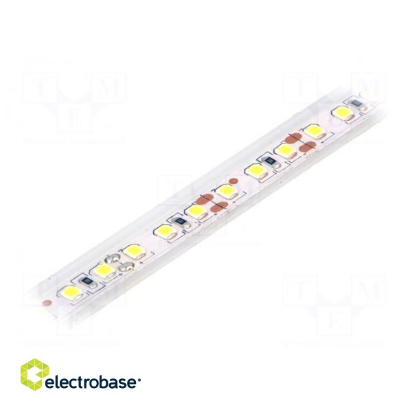 LED tape | white cold | 2835 | 12V | LED/m: 120 | W: 10mm | 120° | IP65 | 6W/m