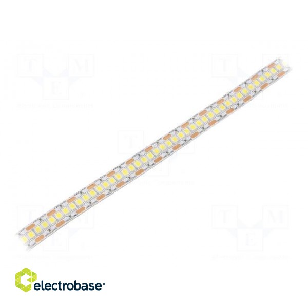 LED tape | white cold | 2835 | 12V | LED/m: 240 | 12mm | white PCB | IP20