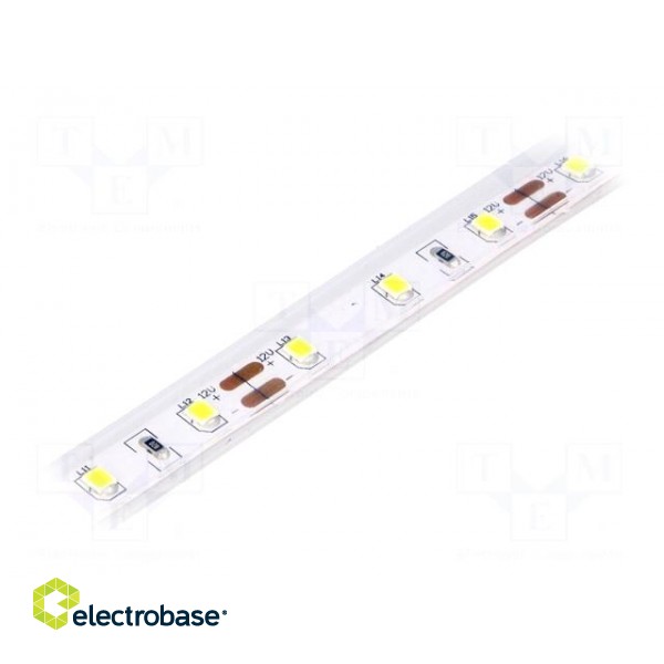 LED tape | white cold | 2835 | 12V | LED/m: 60 | W: 10mm | 120° | IP65 | 12W/m image 1