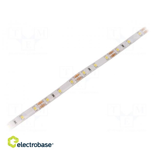 LED tape | white cold | 2835 | 12V | LED/m: 60 | 8mm | IP65 | 12W/m
