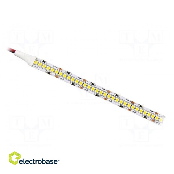 LED tape | white cold | 2835 | 24V | LED/m: 120 | 10mm | white PCB | IP20