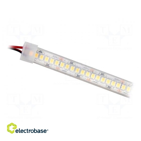 LED tape | white cold | 2835 | 24V | LED/m: 120 | 10mm | white PCB | IP65