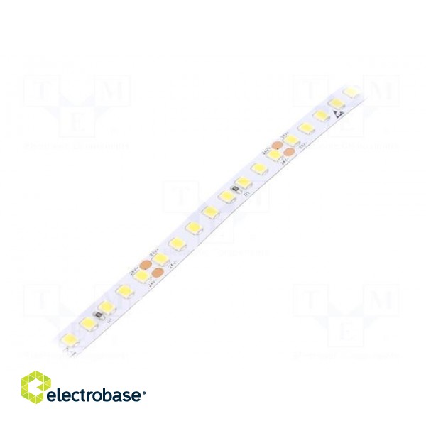 LED tape | white cold | 2835 | 24V | LED/m: 160 | 8mm | IP20 | 120° | 13W/m