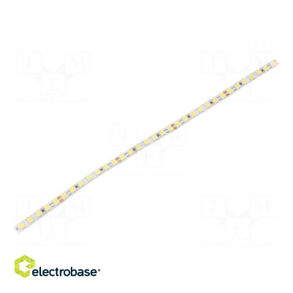 LED tape | white cold | 2835 | 24V | LED/m: 168 | 5mm | IP20 | 8W/m