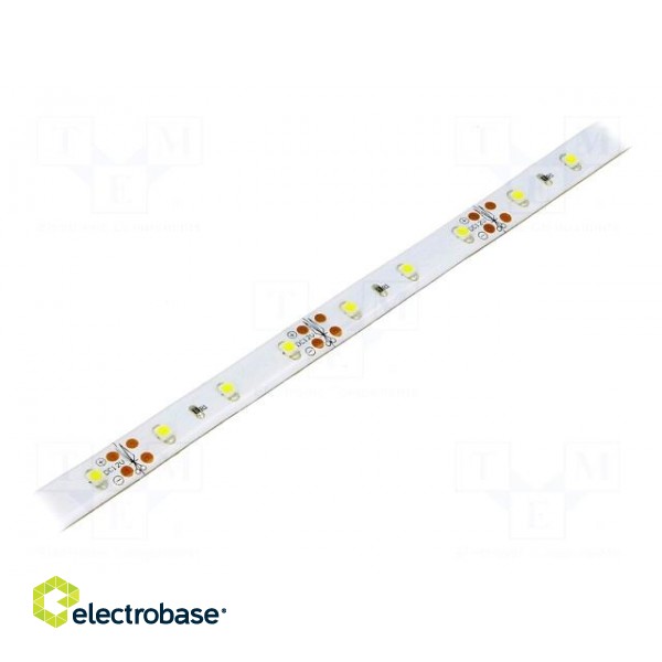 LED tape | white cold | 3528 | 12V | LED/m: 60 | 10mm | brown PCB | 120°