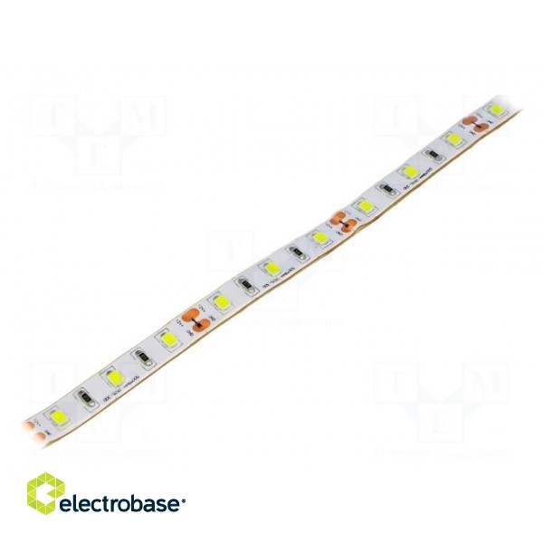 LED tape | white cold | 3528 | 12V | LED/m: 60 | 10mm | white PCB | IP67