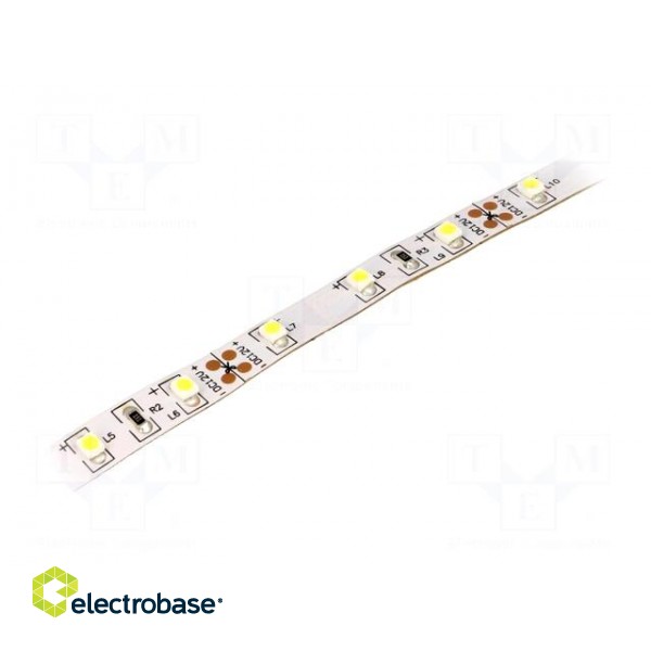 LED tape | white cold | 3528 | 12V | LED/m: 60 | W: 8mm | 120° | IP20 | 4.8W/m