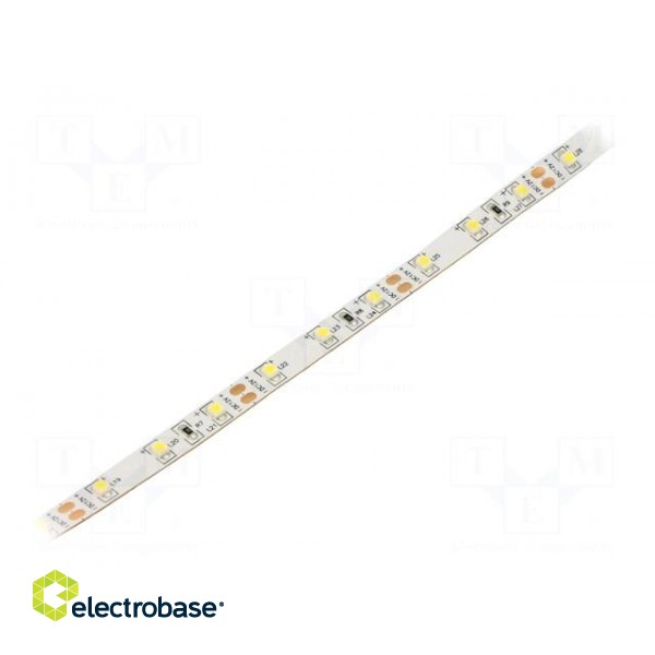 LED tape | white cold | 3528 | 12V | LED/m: 60 | 8mm | white PCB | IP20