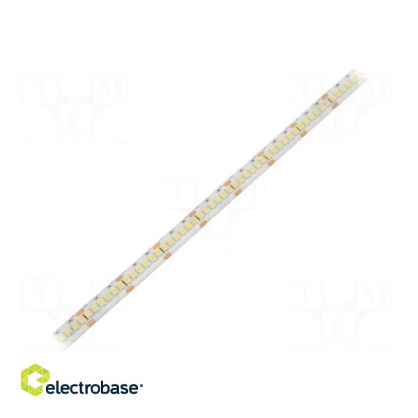 LED tape | white cold | 3528 | 24V | LED/m: 240 | 10mm | IP65 | 16W/m