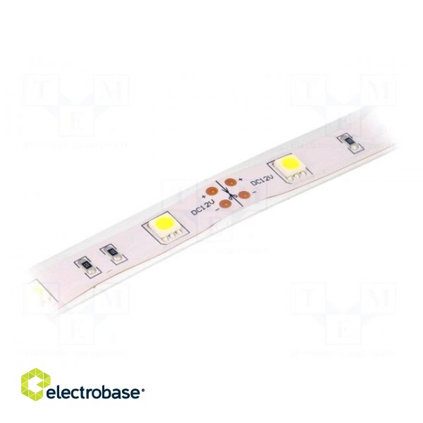LED tape | white cold | 5050 | 12V | LED/m: 30 | W: 14.36mm | 120° | IP65