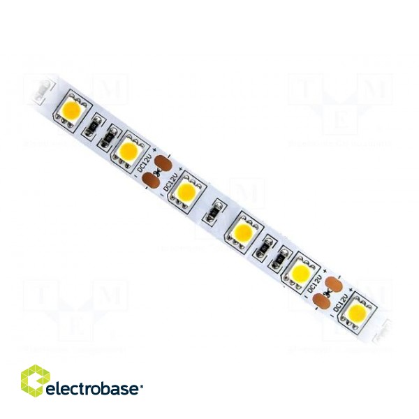 LED tape | white cold | 5050 | 24V | LED/m: 60 | 10mm | white PCB | IP20