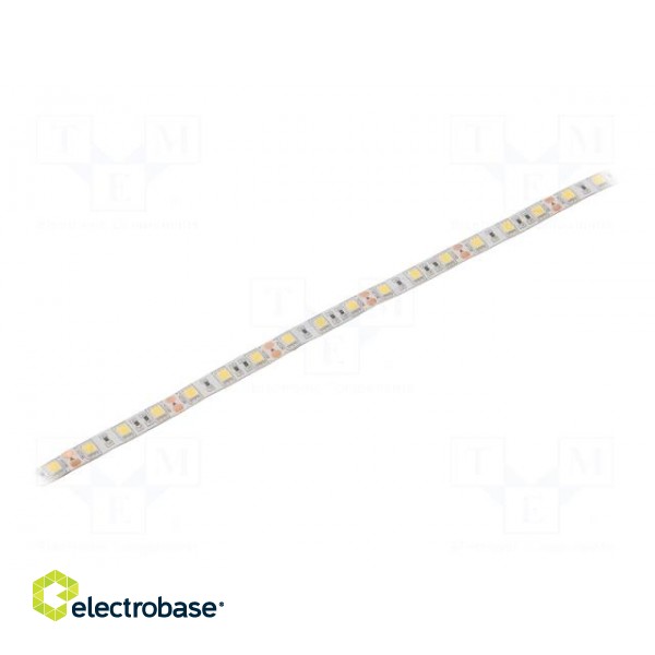 LED tape | white cold | 5050 | 12V | LED/m: 60 | 10mm | white PCB | IP64