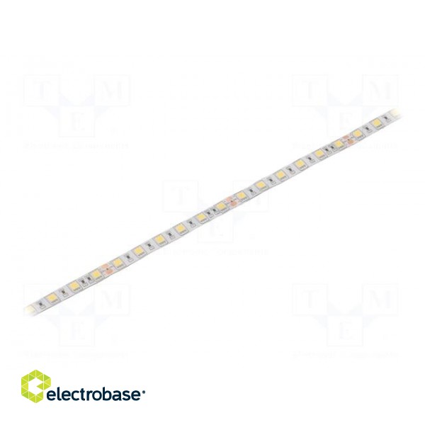 LED tape | white cold | 5050 | 24V | LED/m: 60 | 10mm | white PCB | IP64