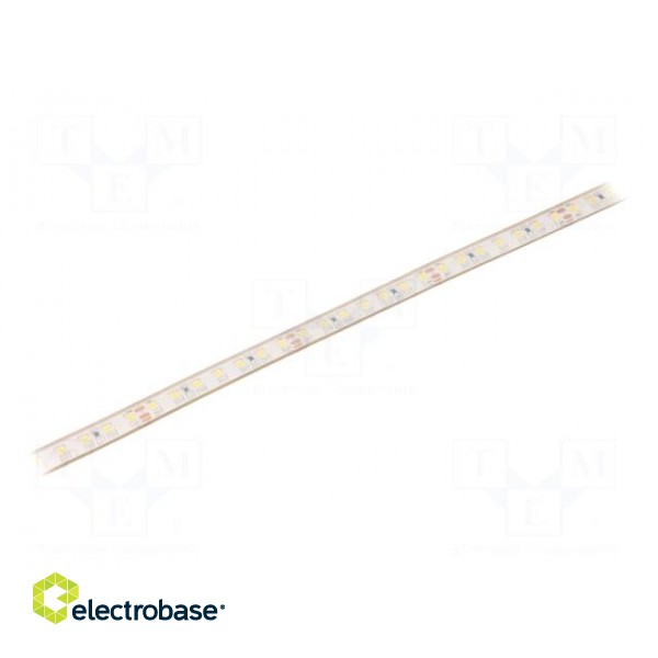 LED tape | white | 24V | LED/m: 112 | W: 10mm | 120° | IP68 | 12W/m image 1