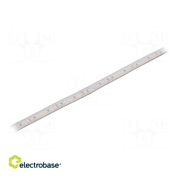 LED tape | white neutral | 2835 | 24V | LED/m: 120 | 10mm | white PCB