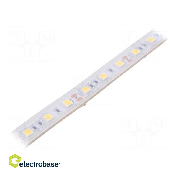 LED tape | white neutral | 5050 | 12V | LED/m: 60 | 10mm | white PCB | IP65