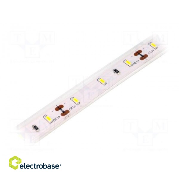 LED tape | white warm | 3014 | 12V | LED/m: 60 | 10mm | 120° | IP65 | 6W/m image 1