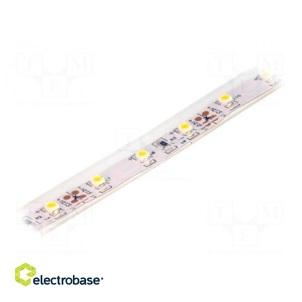 LED tape | white warm | 3528 | 12V | LED/m: 60 | 10mm | 120° | IP65 | 4.8W/m image 1
