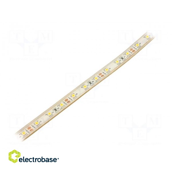 LED tape | white warm | 3528 | 12V | LED/m: 60 | 8mm | white PCB | IP65