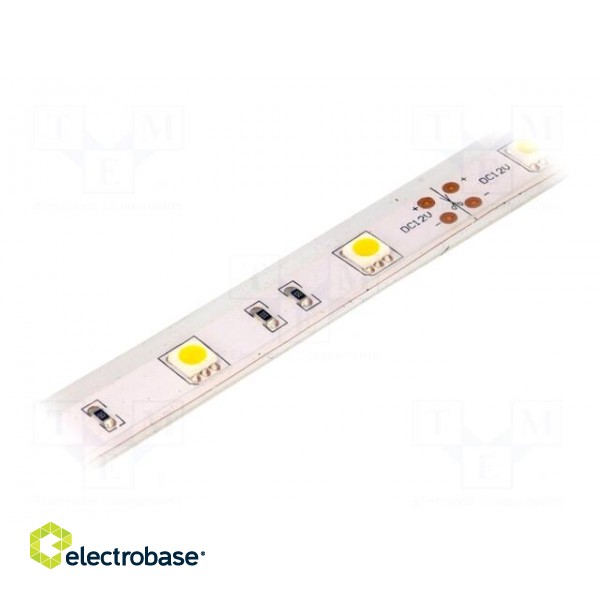 LED tape | white warm | 5050 | 12V | LED/m: 30 | W: 14.36mm | 120° | IP65 image 1