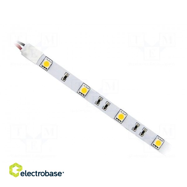 LED tape | white cold | 5050 | 12V | LED/m: 30 | 10mm | white PCB | IP20
