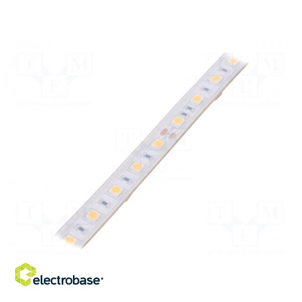 LED tape | white warm | 5050 | 24V | LED/m: 60 | 10mm | white PCB | IP65