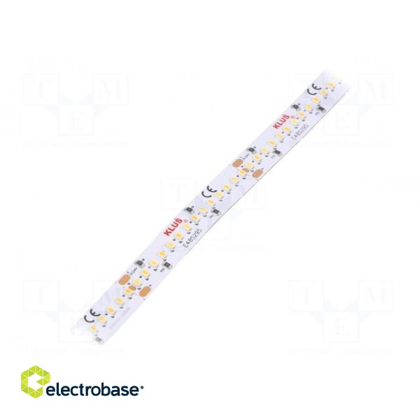 LED tape | white warm/cold white | 24V | LED/m: 252 | 10mm | IP20 | 120°