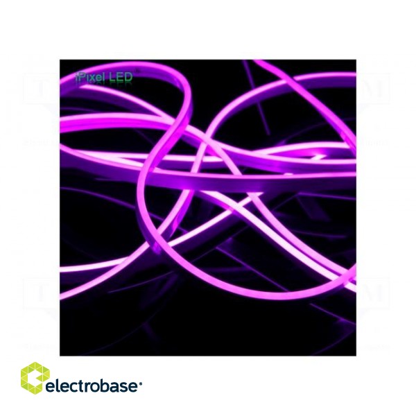 NEON LED tape | violet | 2835 | 12V | LED/m: 120 | 6mm | IP65 | 8W/m image 2