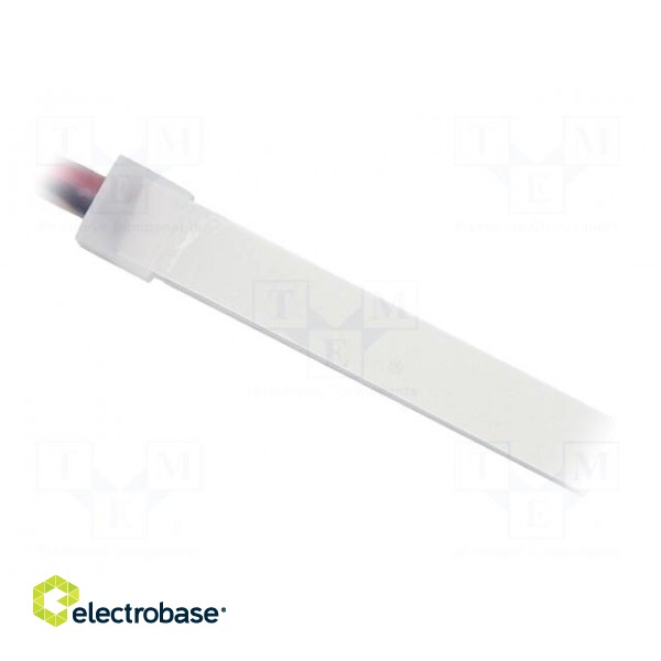 NEON LED tape | white cold | 2835 | 12V | LED/m: 120 | 12mm | IP65 | 10W/m image 2