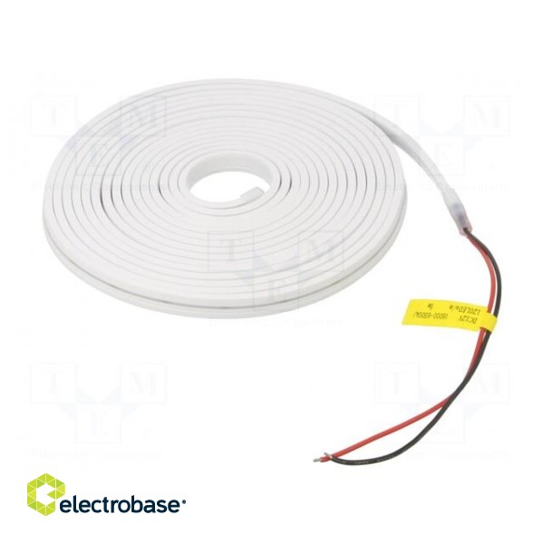 NEON LED tape | white cold | 2835 | 12V | LED/m: 120 | 4mm | IP65 | 5W/m