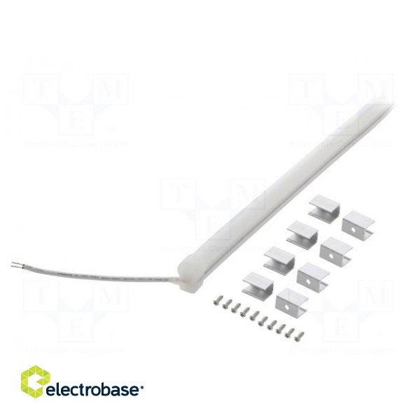 NEON LED tape | white warm | 24V | LED/m: 120 | 10mm | IP65 | 9.6W/m image 2