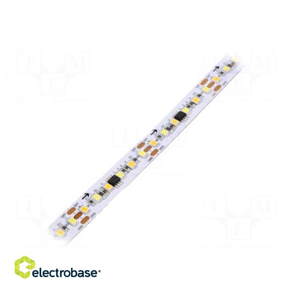 Programmable LED tape | white warm/cold white | 2835 | 24V | 12mm
