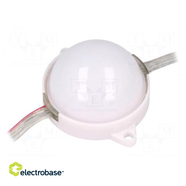 Module: LED | Colour: RGB | IP68 | No.of diodes: 3 | Case: 5050,PLCC6