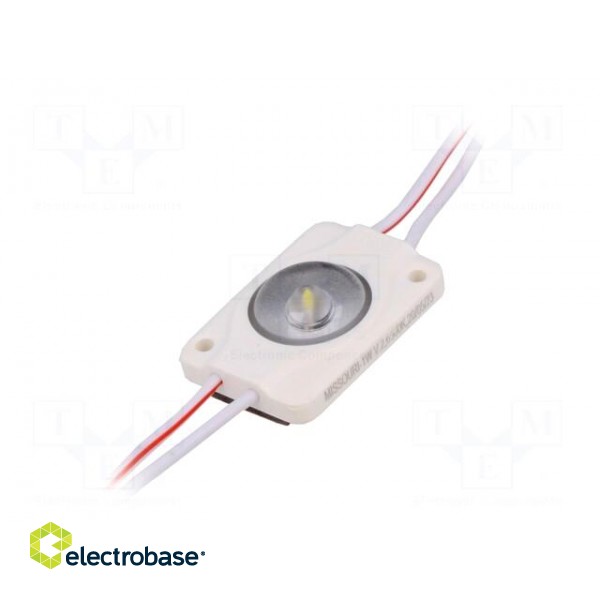 LED | white | 1W | 6500K | 100lm | IP66 | 170° | No.of diodes: 1 | -25÷60°C