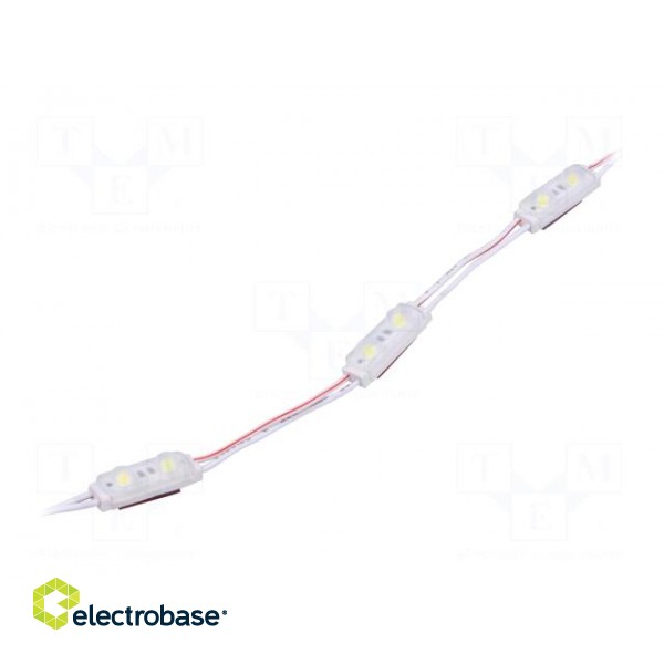 LED | white | 500mW | 7000K | 70lm | IP67 | 140° | No.of diodes: 2 | -25÷55°C
