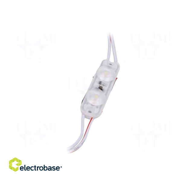 LED | white | 720mW | 7000K | 85lm | IP67 | 170° | No.of diodes: 2 | -25÷55°C